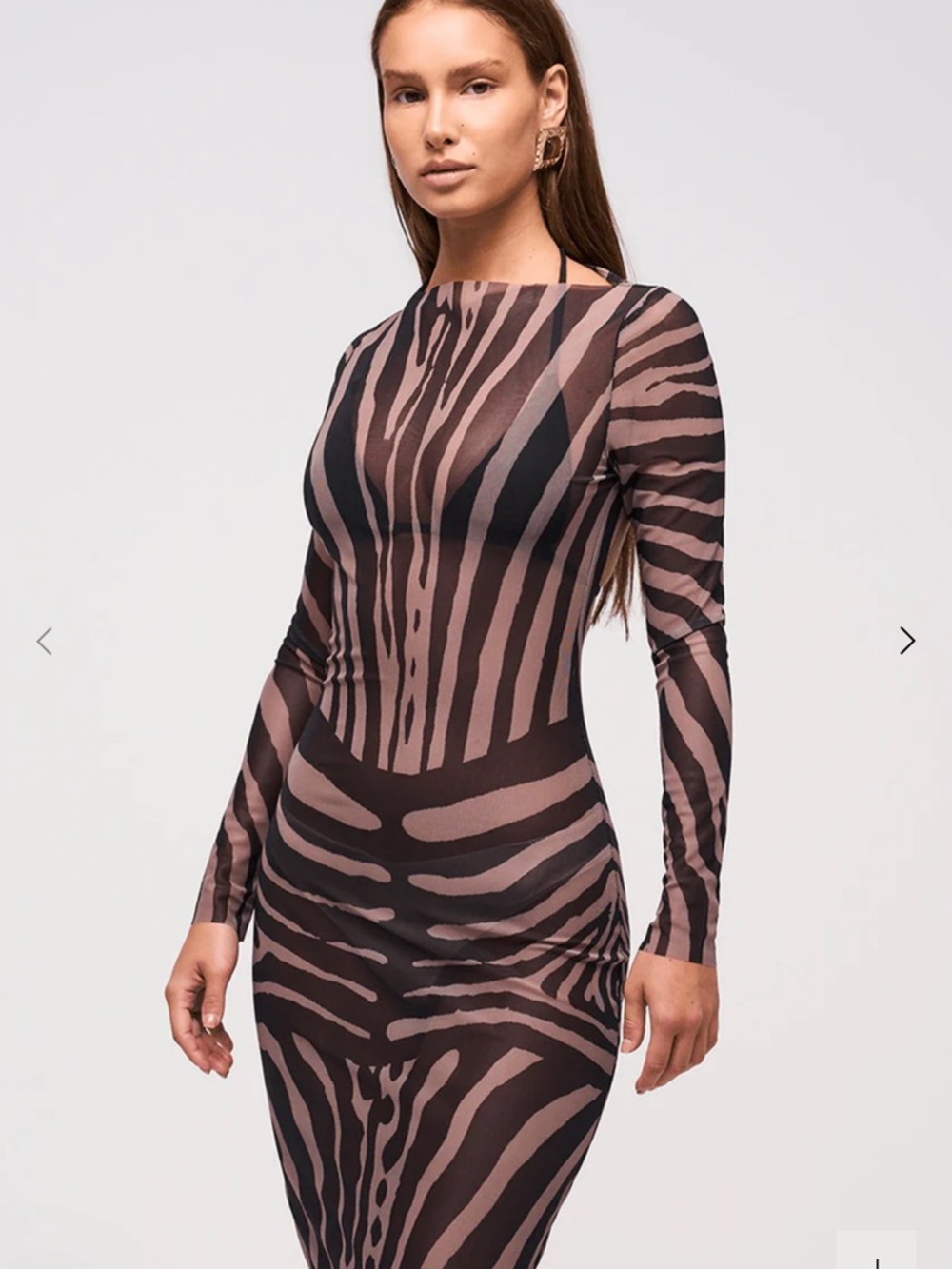 Long Sleeve Zebra-Stripe Maxi Dress in Brown and Black
